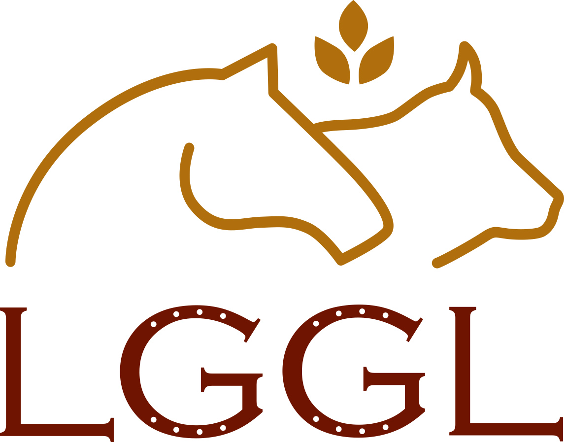 Logo LGGL 190x148 / 2019/2020